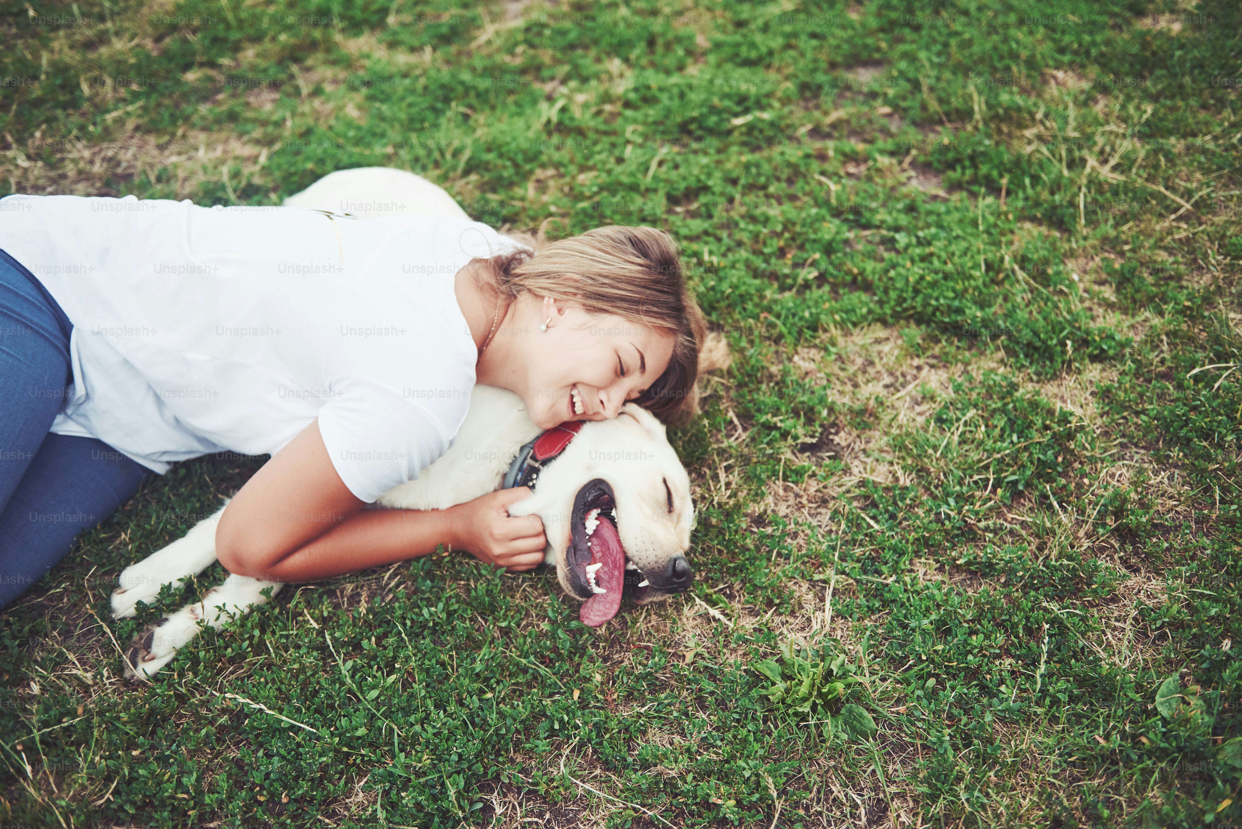 Frame with a beautiful girl with a beautiful dog in a park on green grass