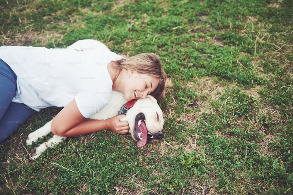 Cornice con una bella ragazza con un bel cane in un parco su erba verde