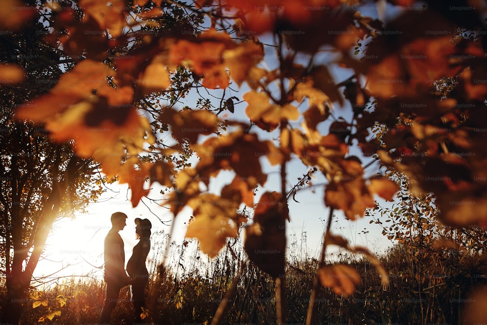 Stylish pregnant couple holding hands on belly in sunny light in autumn park. Happy young parents, mom and dad, hugging baby bump, smiling, enjoying beautiful moment at sunset. Parenthood concept