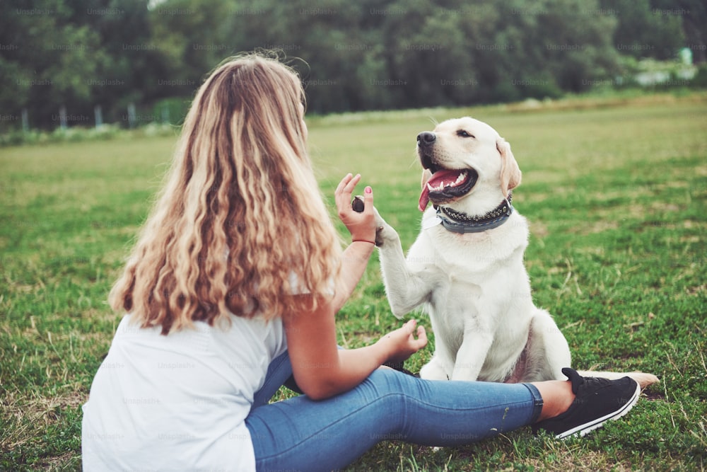 Cornice con una bella ragazza con un bel cane in un parco su erba verde