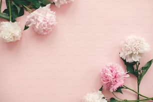 세련된 분홍색과 흰색 모란 테두리가 분홍색 종이에 평평하게 놓여 있으며 텍스트를위한 공간이 있습니다. 해피 어머니의 날. 세계 여성의 날. 인사말 카드 모형. 크리 에이 티브 안녕하세요 봄 이미지