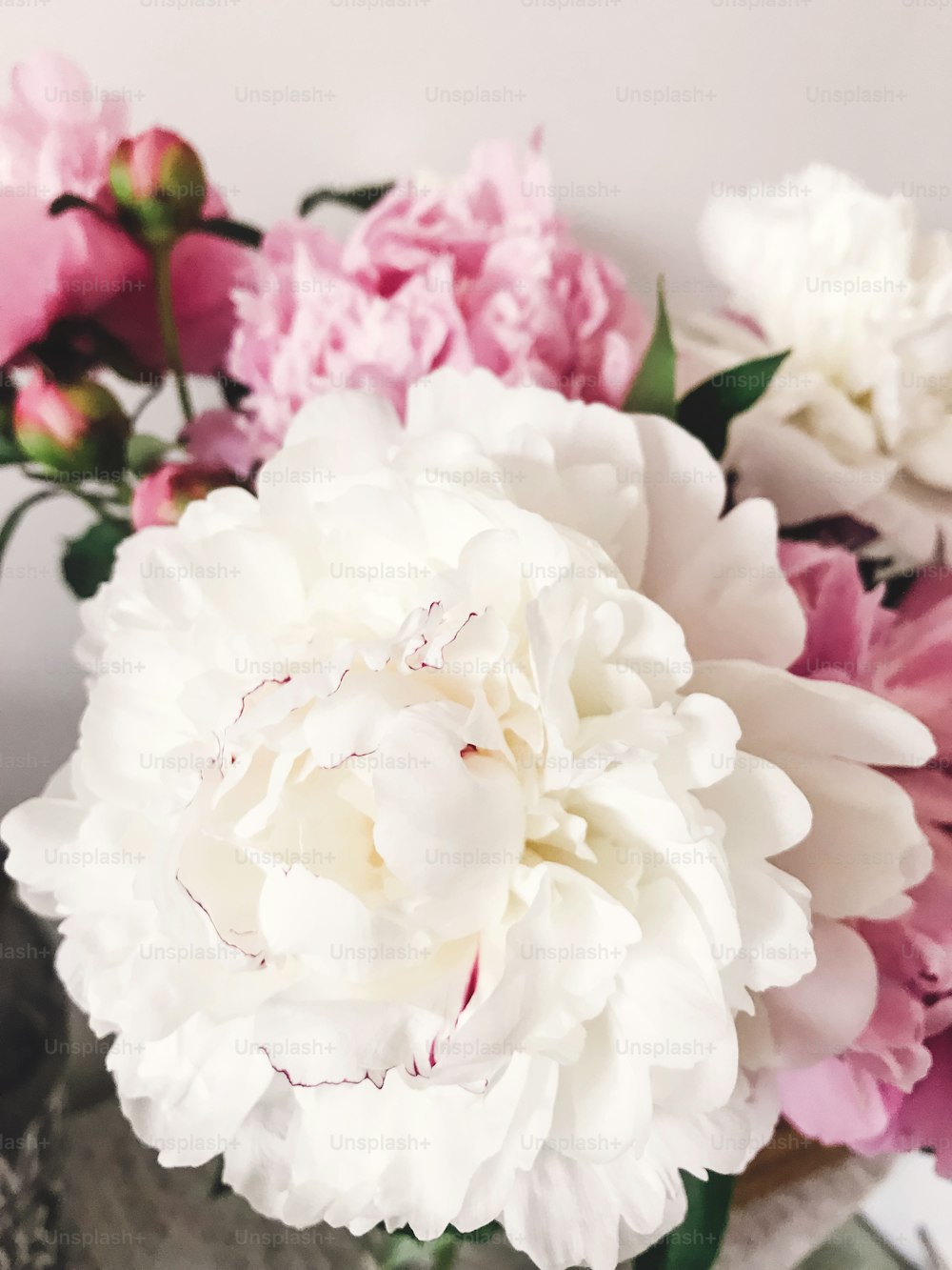 Beautiful big white peony and pink peonies in vase on stylish nightstand. Hello spring. Happy Mothers day