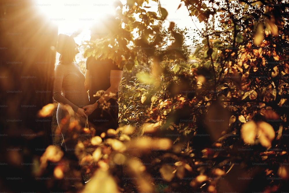 Happy young parents, mom and dad, hugging baby bump, smiling, enjoying beautiful moment at sunset. Parenthood concept. Stylish pregnant couple holding hands on belly in sunny light in autumn park.