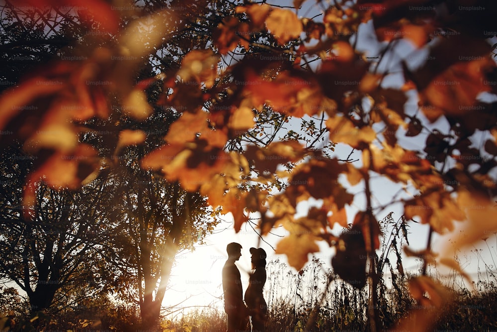 Stylish pregnant couple holding hands on belly in sunny light in autumn park among leaves. Happy young parents, mom and dad, hugging baby bump, enjoying beautiful moment at sunset. Creative photo