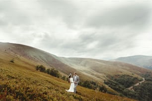 gorgeous bride and stylish groom hugging at sunny landscape,  boho wedding couple, luxury ceremony at mountains with amazing view, space for text