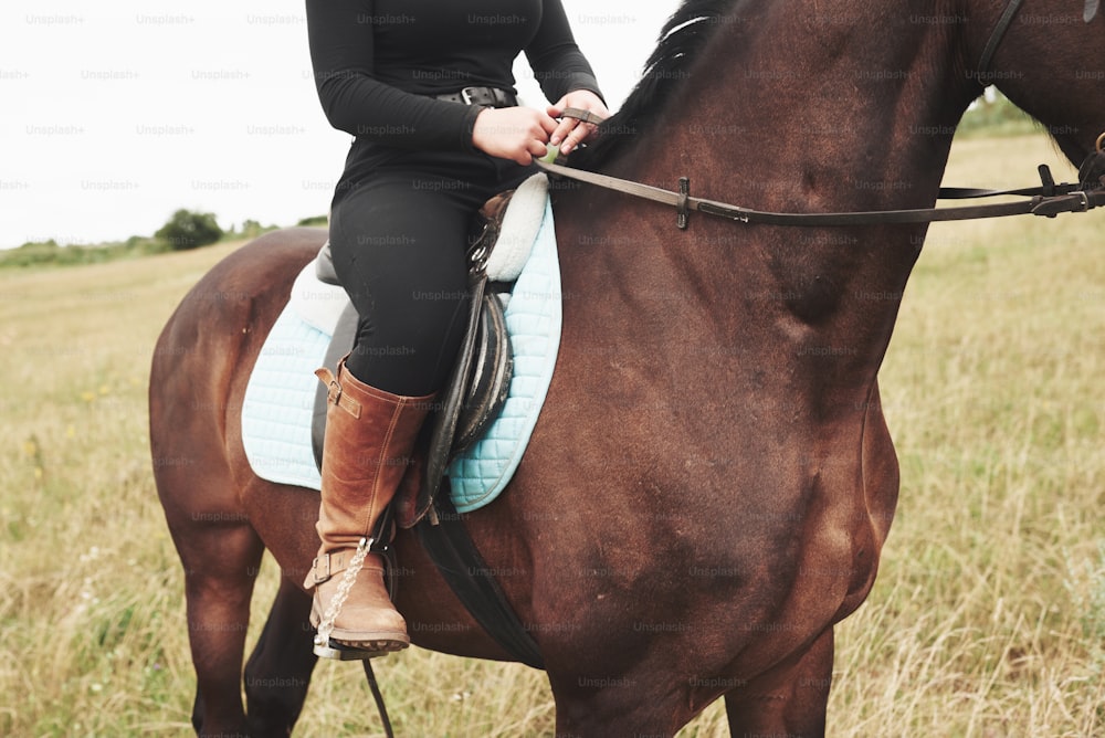 Closeup picture of young beautiful woman rides a horse.