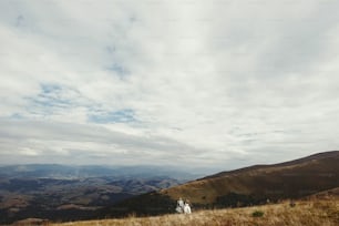 happy gorgeous bride and groom walking  in sun light holding hands, boho wedding couple, luxury ceremony at mountains with amazing view, space for text