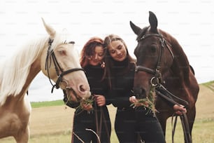 Zwei junge, schöne Mädchen in Ausrüstung, um in der Nähe ihrer Pferde zu reiten. Sie lieben Tiere.