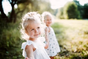 Two small girl friends or sister standing in sunny summer nature, holding hands.