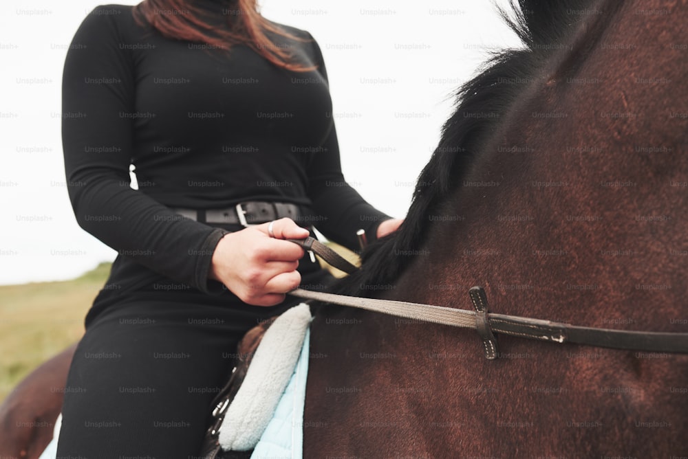 Closeup picture of young beautiful woman rides a horse.