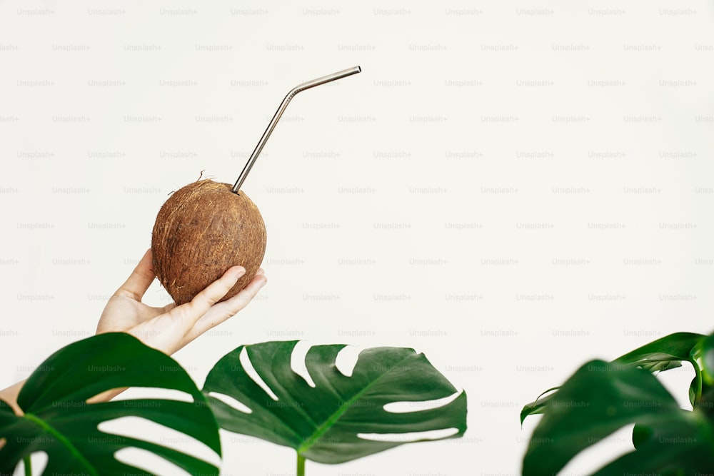 Zero waste. Hand holding coconut with metal straw on white background with green palm leaves. Hello summer vacation concept. Ban plastic. Sustainable lifestyle on tropical island. Copy space