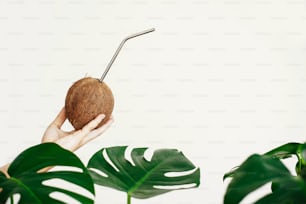 Zero waste. Hand holding coconut with metal straw on white background with green palm leaves. Hello summer vacation concept. Ban plastic. Sustainable lifestyle on tropical island. Copy space