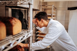 Looking into glass. Young dark-haired baker looking into the glass of oven while checking eclairs