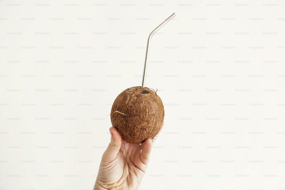 Hand holding coconut with metal straw on white background. Hello summer vacation concept. Zero waste, sustainable lifestyle on tropical island. Copy space. Ban plastic, ecological problem