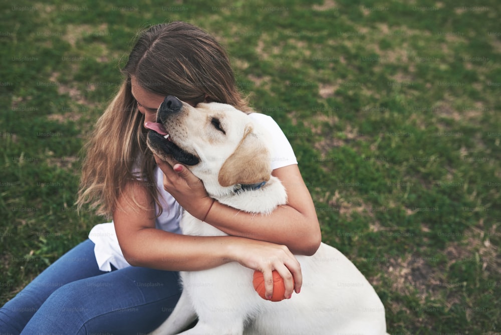 屋外で犬を飼っている魅力的な若い女性。ラブラドールレトリバーと一緒に緑の芝生の上でグリル。