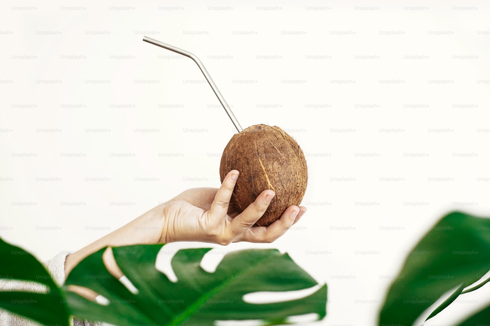 Hand holding coconut with metal straw on white background with green palm leaves. Hello summer vacation concept. Zero waste.  Ban plastic. Sustainable lifestyle on tropical island. Copy space