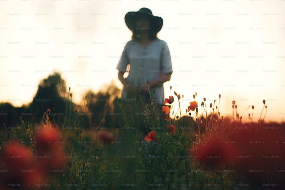 Focus on poppy flowers, blurred image of stylish girl in linen dress holding flowers in rustic straw basket in meadow in sunset light. Boho woman relaxing in summer field. Atmospheric moment