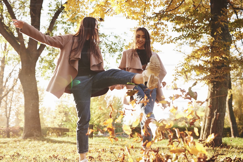 Vista dal basso di giovani ragazze gemelle brune sorridenti che si divertono e calciano le foglie con i piedi mentre camminano nel parco soleggiato autunnale su sfondo sfocato.
