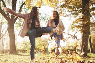 Unteransicht von jungen, lächelnden brünetten Zwillingsmädchen, die Spaß haben und Blätter mit ihren Füßen treten, während sie im sonnigen Herbstpark auf verschwommenem Hintergrund spazieren gehen.
