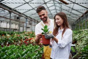 Guy smiling during the process. Couple of florists at work. Girl holding vase with green plant.