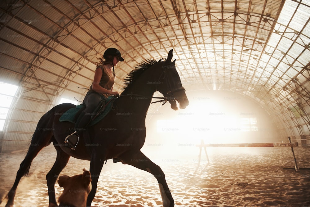 Image majestueuse de la silhouette de cheval cheval avec cavalier sur fond de coucher de soleil. La fille jockey sur le dos d’un étalon monte dans un hangar d’une ferme et saute par-dessus la barre transversale. Le concept d’équitation.
