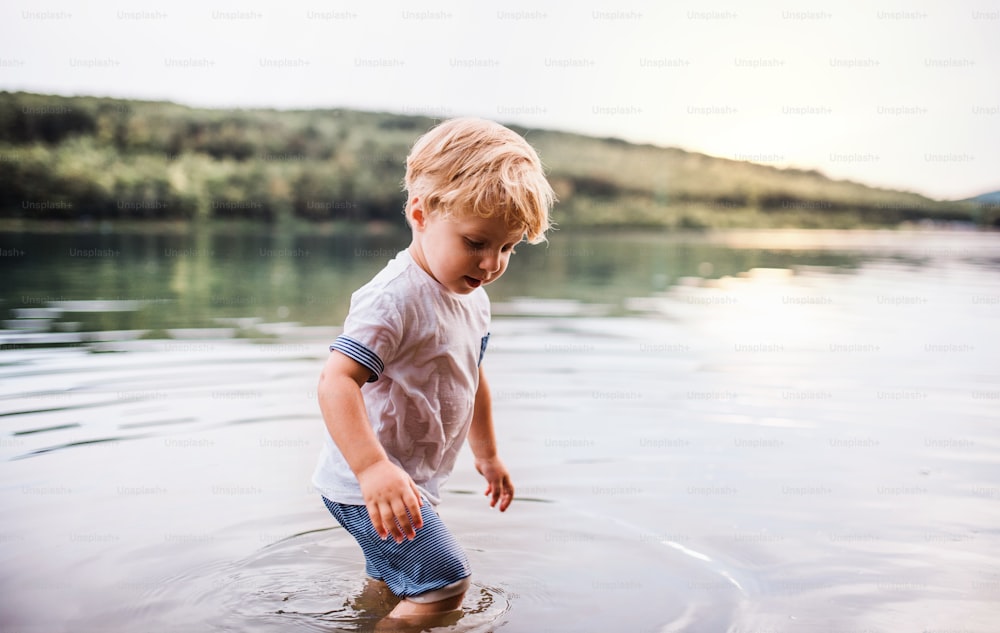A wet, happy small toddler boy walking outdoors in a river in summer, playing.