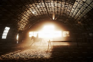 Majestic image of horse horse silhouette with rider on sunset background. The girl jockey on the back of a stallion rides in a hangar on a farm and jumps over the crossbar. The concept of riding.