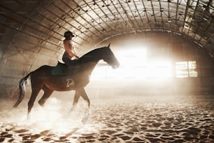 Majestic image of horse horse silhouette with rider on sunset background. The girl jockey on the back of a stallion rides in a hangar on a farm and jumps over the crossbar. The concept of riding.