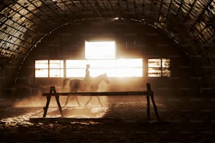 夕日の背景にライダーと馬の馬のシルエットの雄大な画像。種牡馬の背中に乗った少女騎手が農場の格納庫に乗り込み、クロスバーを飛び越える。ライディングのコンセプト。
