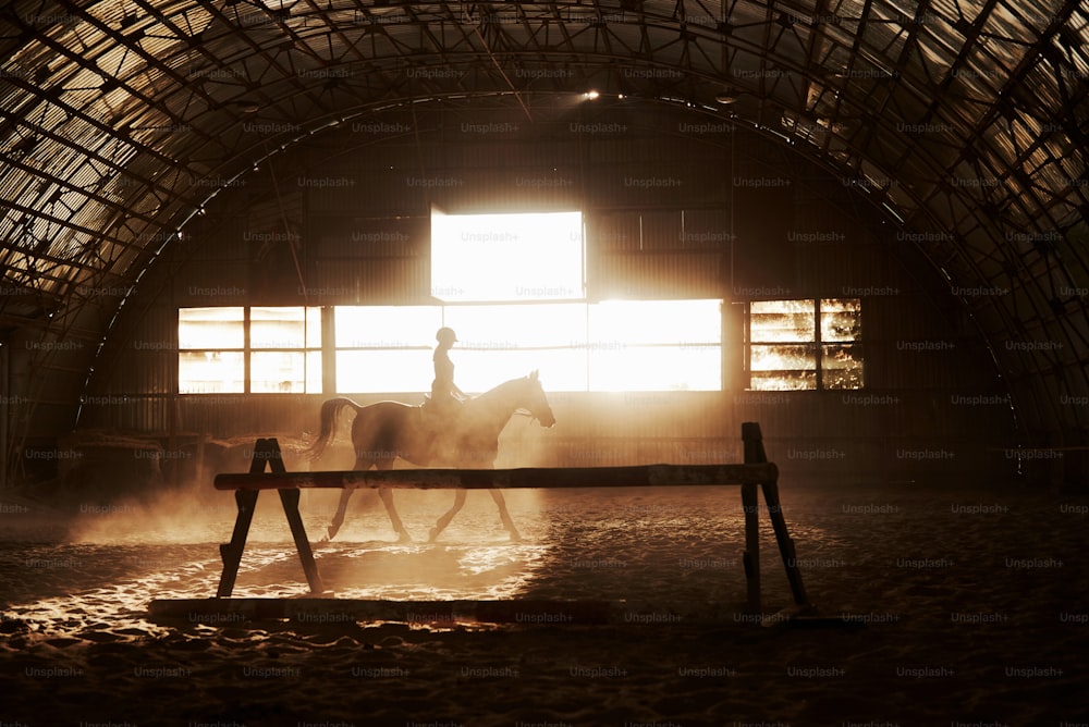 Imagem majestosa da silhueta do cavalo com o cavaleiro no fundo do pôr do sol. A menina jóquei na parte de trás de um garanhão anda em um hangar em uma fazenda e pula sobre a trave. O conceito de equitação.