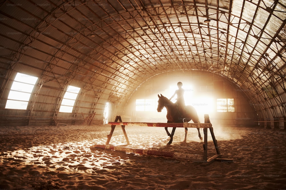 Majestätisches Bild der Pferdesilhouette mit Reiter auf Sonnenuntergangshintergrund. Das Jockeymädchen auf dem Rücken eines Hengstes reitet in einem Hangar auf einem Bauernhof und springt über die Querlatte. Das Konzept des Reitens.