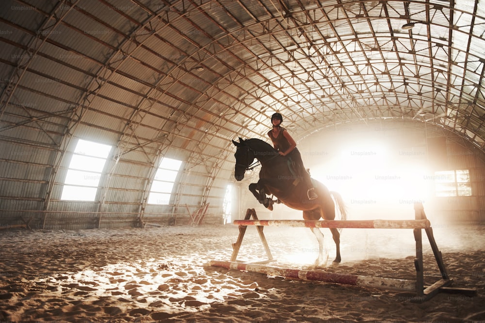 Majestic image of horse horse silhouette with rider on sunset background. The girl jockey on the back of a stallion rides in a hangar on a farm and jumps over the crossbar. The concept of riding.