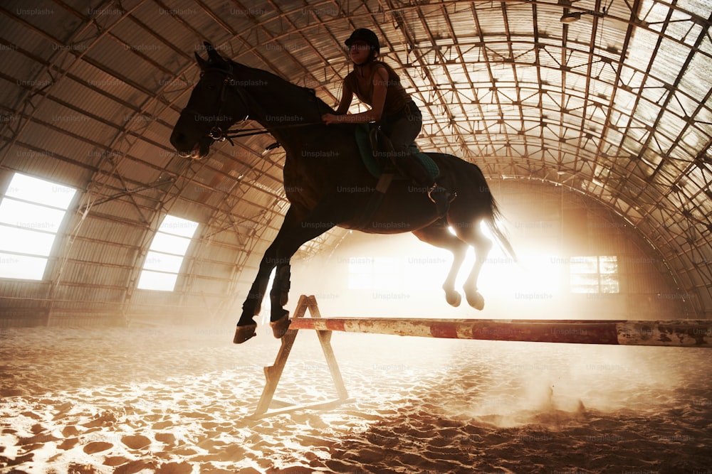 Majestic image of horse horse silhouette with rider on sunset background. The girl jockey on the back of a stallion rides in a hangar on a farm and jumps over the crossbar. The concept of riding.