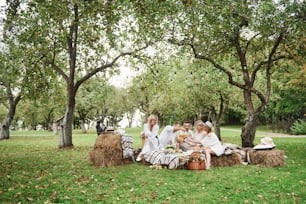 Beautiful field with trees and beautiful adult friends that have dinner.