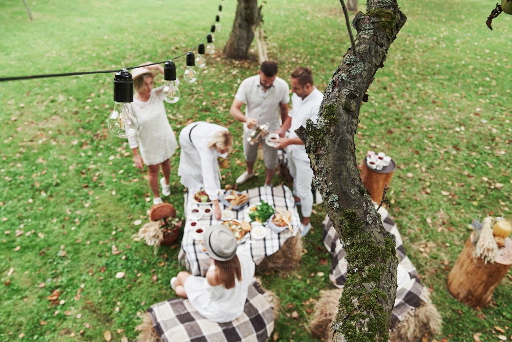 Top view of five good friends have a dinner and conversation outdoors.