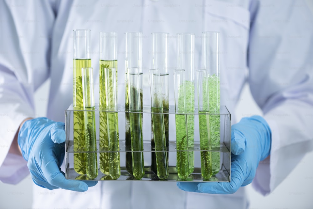 Der Wissenschaftler testet den Naturstoffextrakt, das Öl und die Biokraftstofflösung im Chemielabor