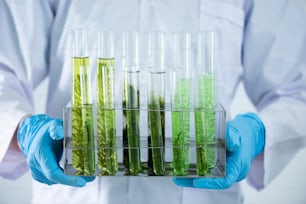 科学者は、化学実験室で天然物抽出物、石油、バイオ燃料溶液をテストします