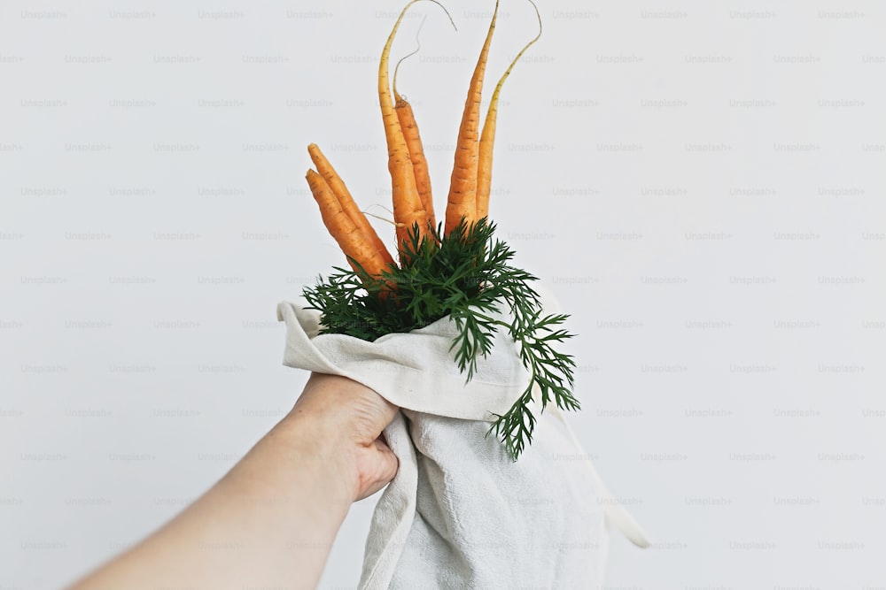 Scegli plastic free. Mani che tengono una borsa di tela ecologica riutilizzabile con carote fresche e vegetazione su sfondo bianco. Spesa a rifiuti zero. Vietare la plastica.