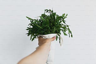 Hands holding reusable eco friendly canvas bag with fresh green arugula on white background. Zero waste grocery shopping. Ban plastic. Choose plastic free.