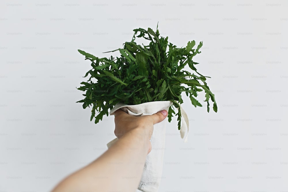Hands holding reusable eco friendly canvas bag with fresh green arugula on white background. Zero waste grocery shopping. Ban plastic. Choose plastic free.