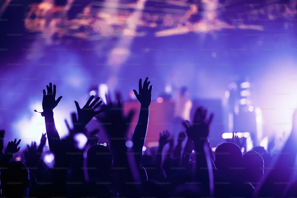 Folla festante con le mani in aria che si diverte al festival musicale