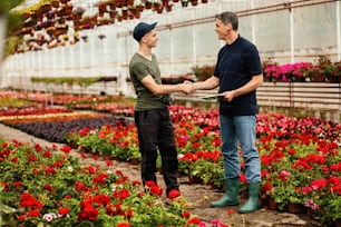 Happy manager shaking hands with young worker while meeting in a greenhouse.