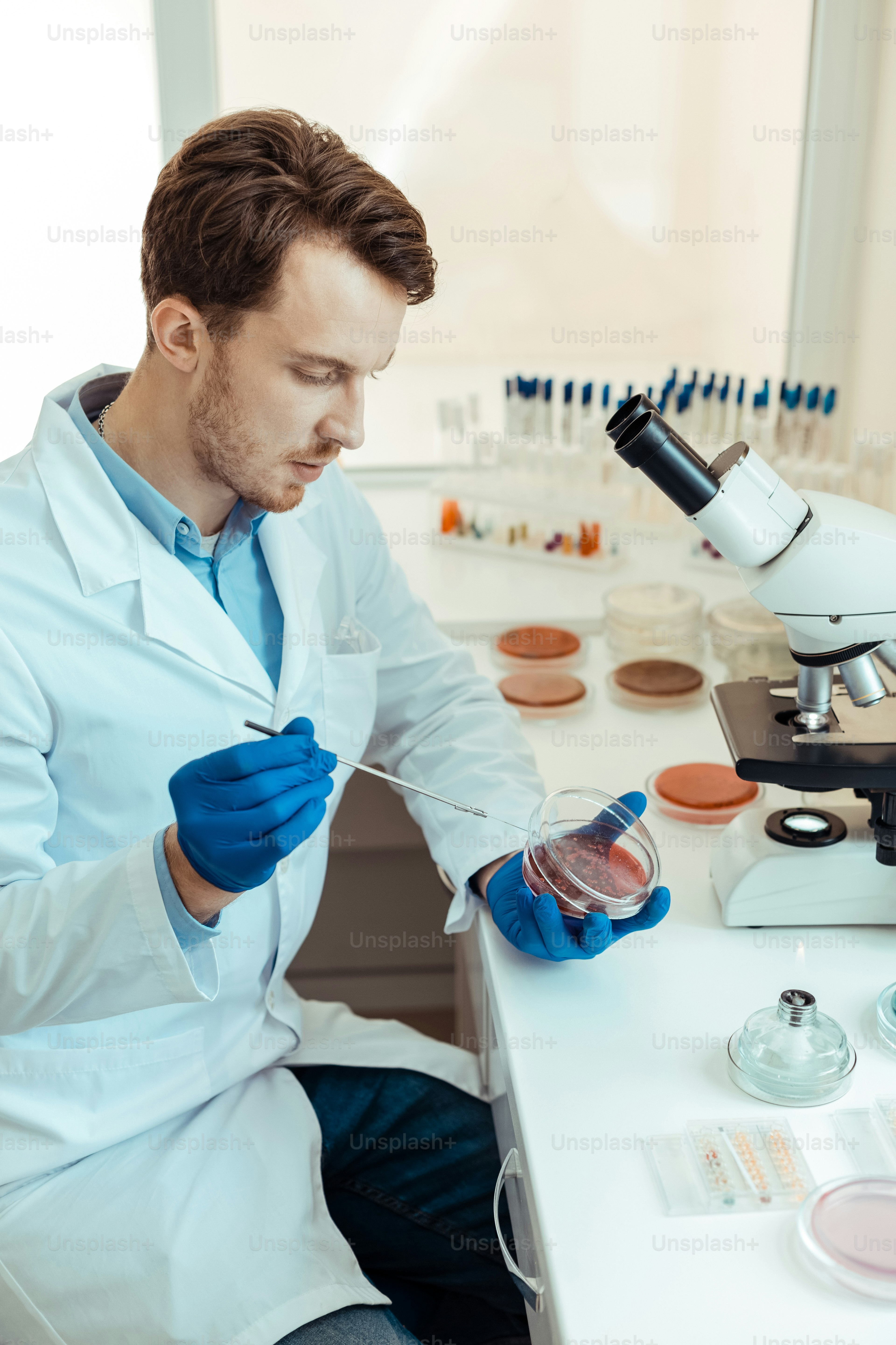 Research lab. Nice smart man looking at the petri dish while taking a sample for the research