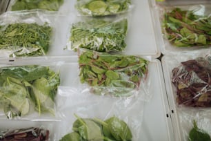 Variety of greens. Top view of great variety of nice greens lying in plastic bags on the table