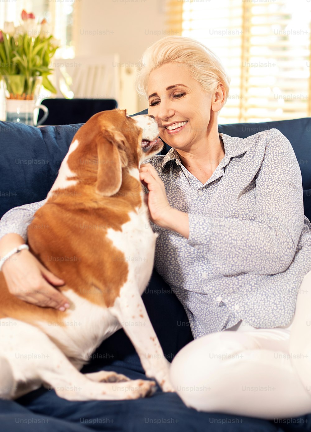 Adult beautiful blonde lady relaxing at home with cute dog, lying on sofa.