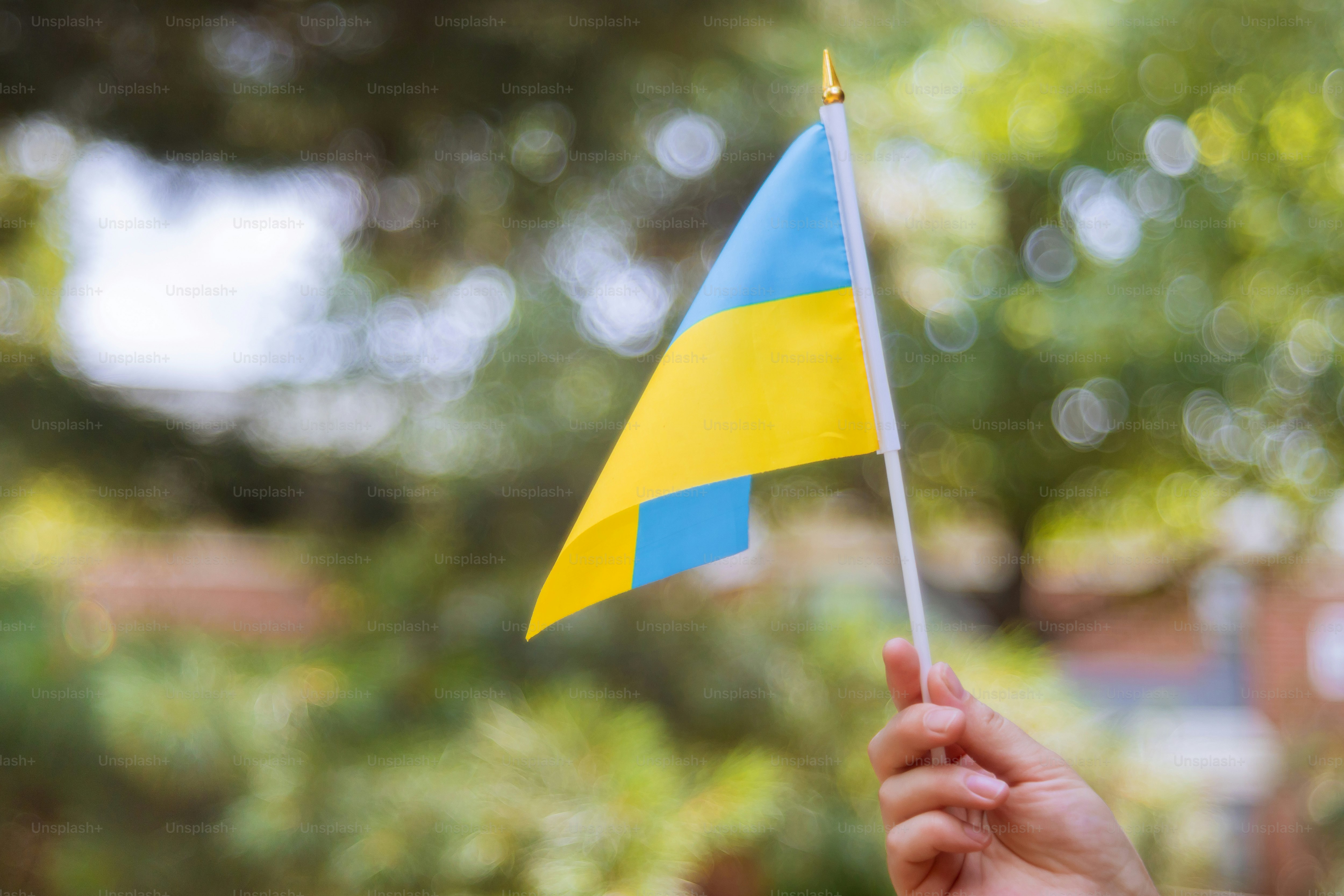 Ukraine Independence Day female hand with a blue and yellow flag