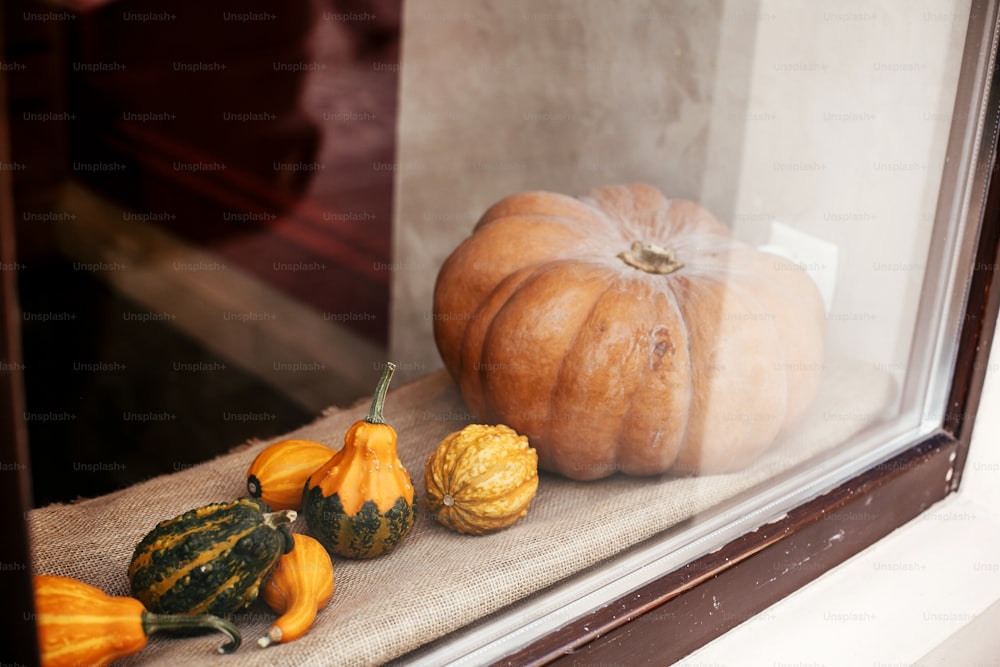 Halloween street decor. Pumpkins and squash in city street, holiday decorations store fronts and buildings. Space for text. Trick or treat. Happy halloween. Autumn market in town