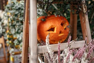 Halloween street decor. Jack o lantern pumpkins and flowers in city street, holiday decor of garden and buildings. Autumn market in town. Space for text. Trick or treat. Happy halloween