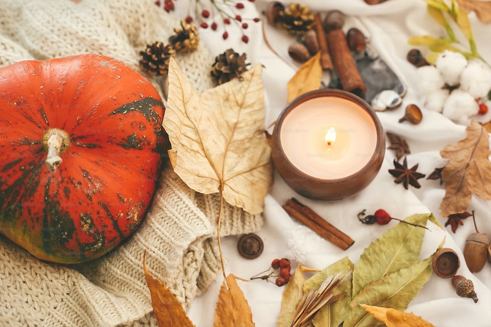 Hygge lifestyle, autumn mood. Pumpkin and candle with berries, fall leaves, anise,herbs, acorns, nuts, cinnamon, cotton on white textile. Happy Thanksgiving. Cozy inspirational image