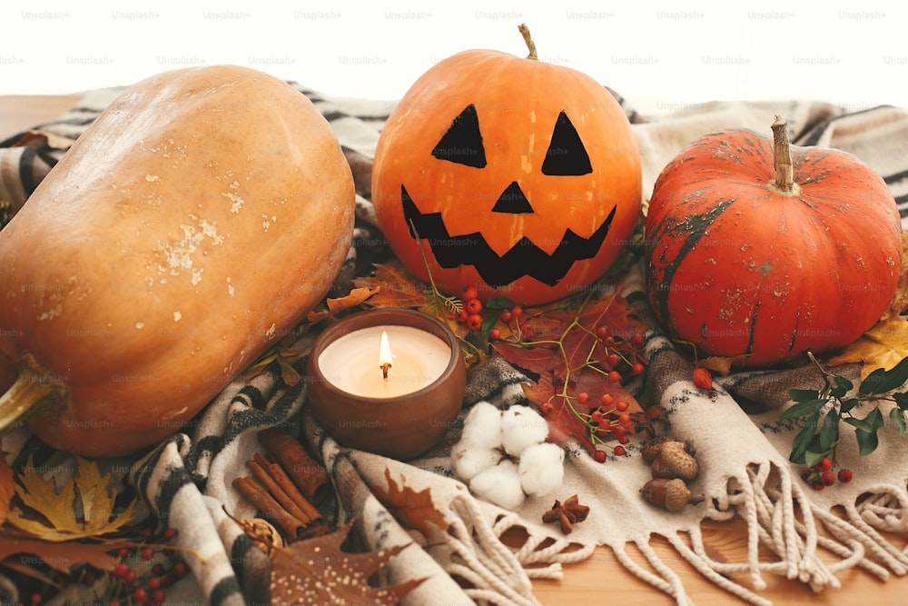Happy Halloween. Jack o lantern and pumpkins with fall leaves, candle light, berries and herbs on brown blanket. Hygge lifestyle, cozy autumn mood. `